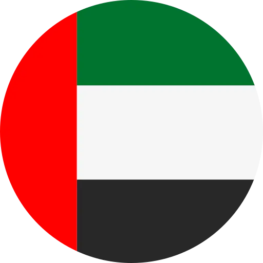 Dubai Flag